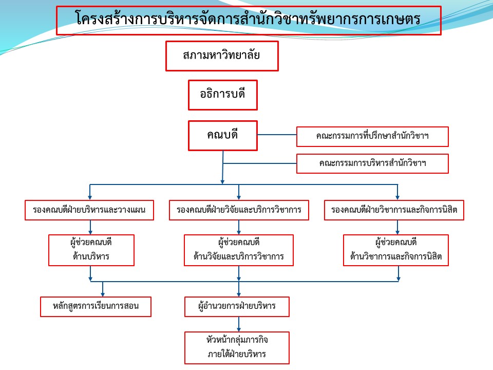 โครงสร้างองค์กร ธันวาคม 14th, 2025
